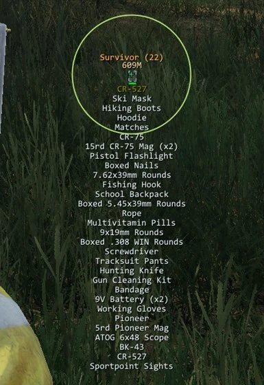 Inventory Viewer / ESP for Dayz - Authority (Undetected)
